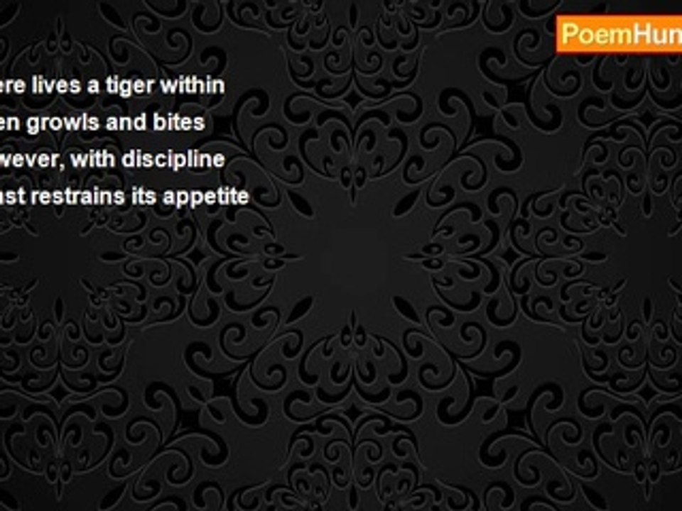 Ray Lucero - TIGER WITHIN