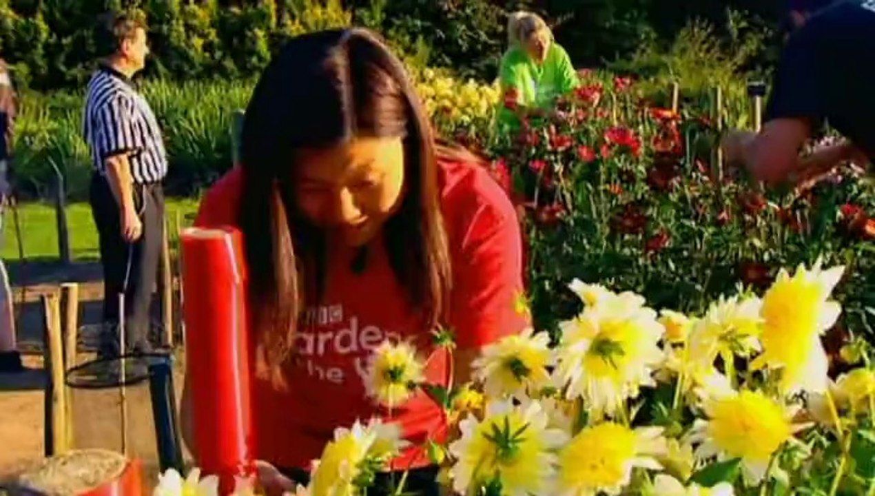 The A To Z Of TV Gardening - D