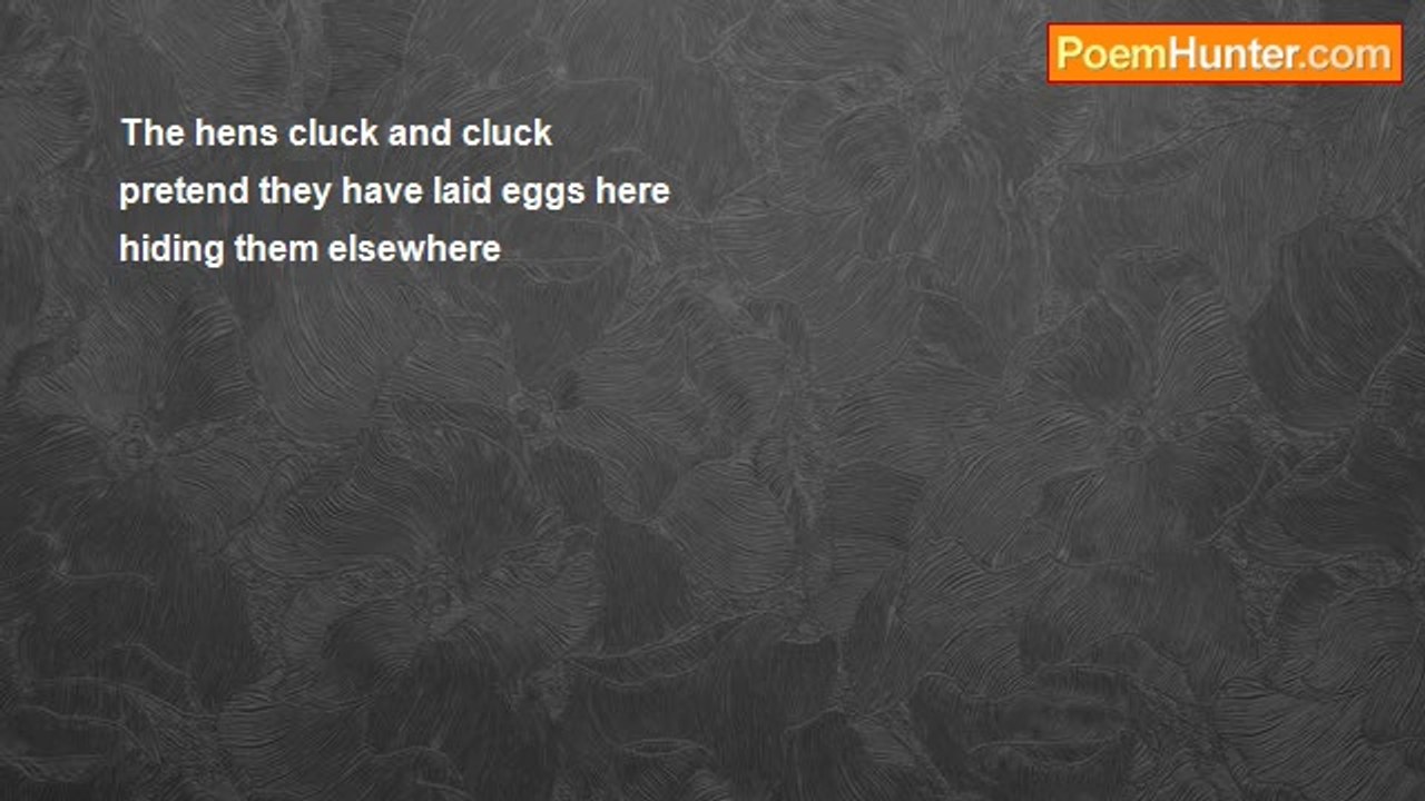 Pisapia Gina - The hens cluck and cluck