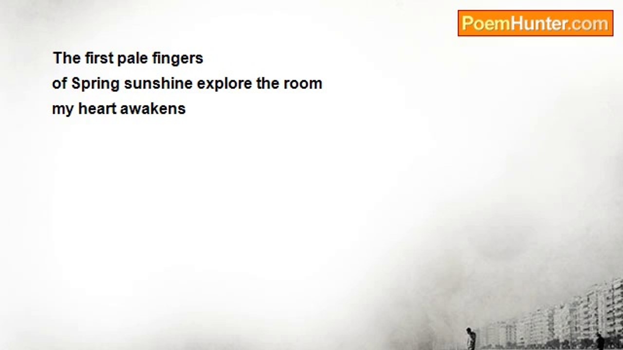 Pisapia Gina - The first pale fingers
