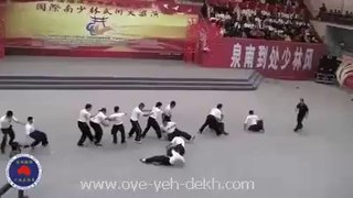 Ridiculous Chinese Martial Art Demonstration