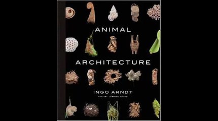 [FREE eBook] Animal Architecture by Ingo Arndt
