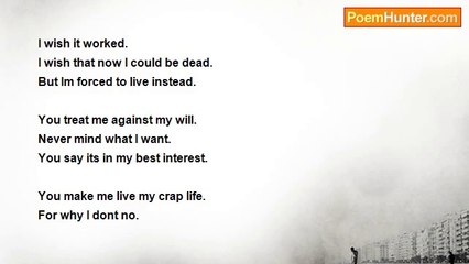 Amy Louise Kerswell - I wish it had worked