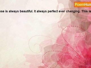 Susie Sunshine - A Rose is a Rose