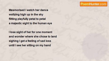 Teresa Reck - Shimmering Butterfly