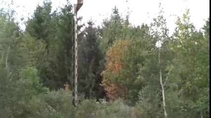 helikopterle ağaç budamak - dijkolog.com