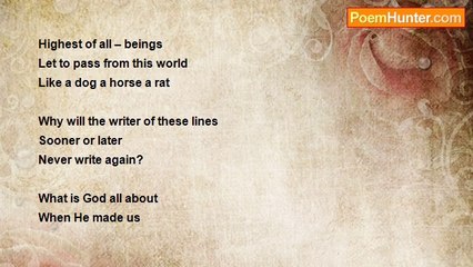 Shalom Freedman - What is God about?