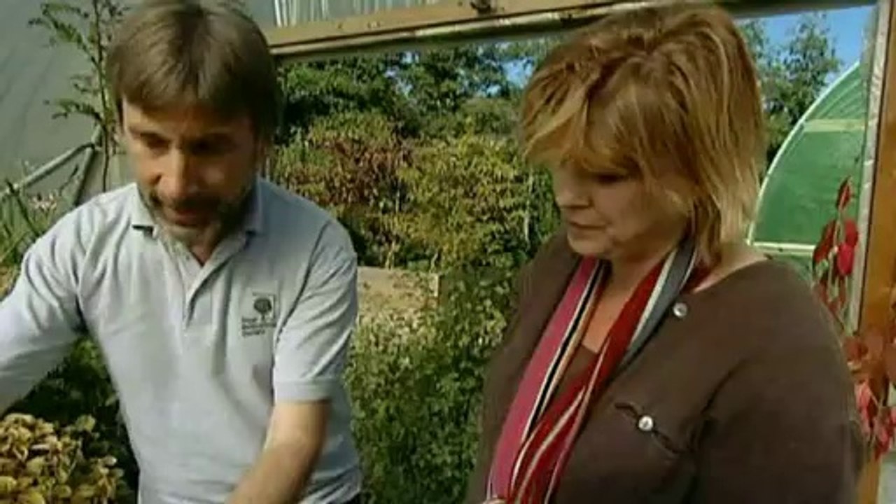 The A To Z Of TV Gardening - N