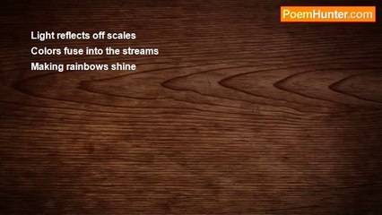 Evan Ryan - Rainbow Trout