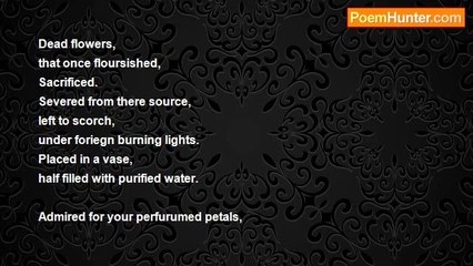 Not Long Left - Dead flowers