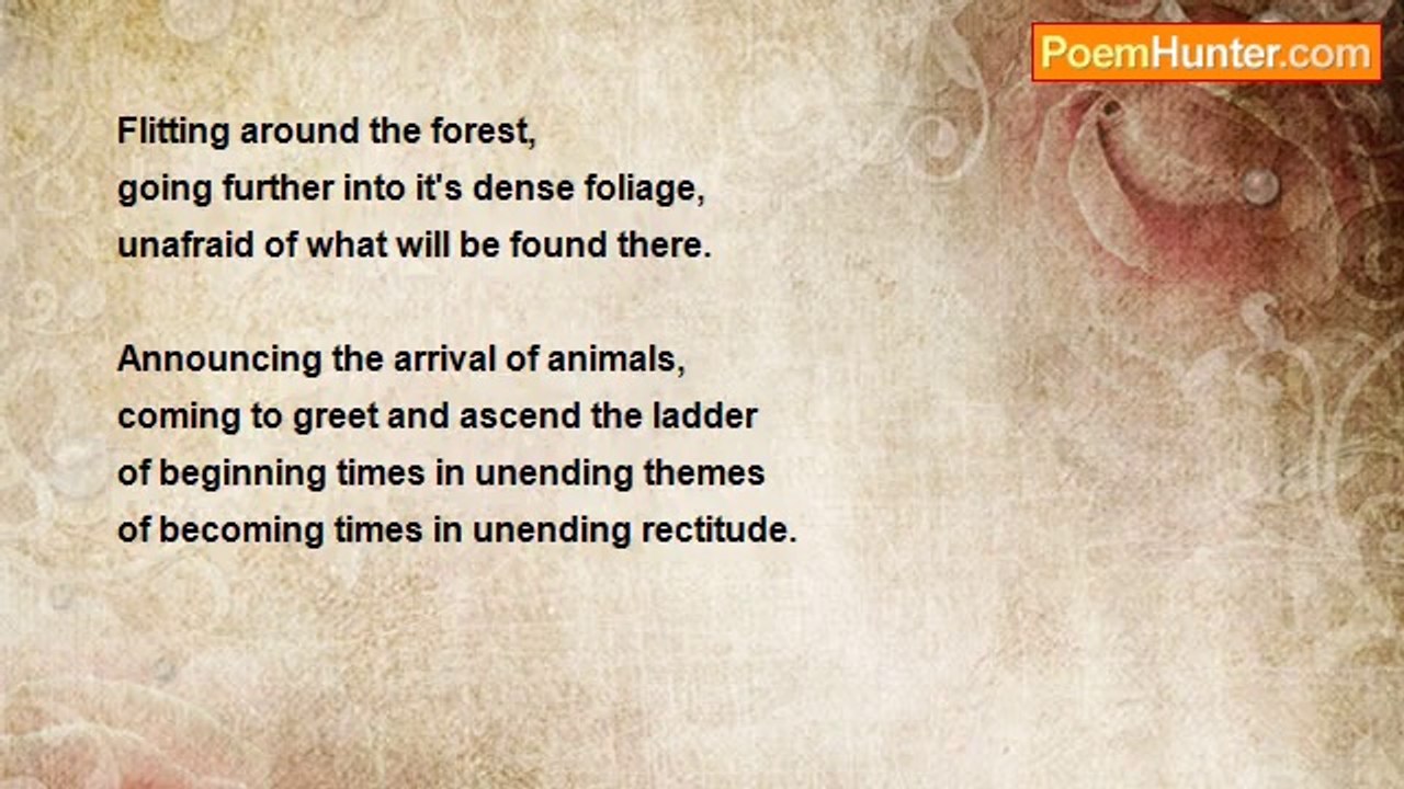 RoseAnn V. Shawiak - A Forest