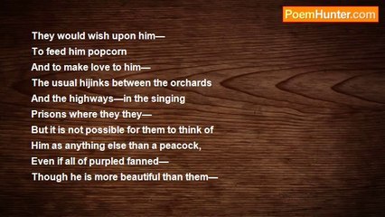 Robert Rorabeck - The Purple World