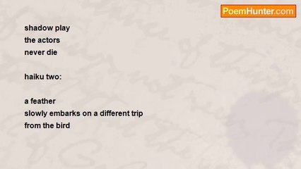 john tiong chunghoo - Haiku - Shadow Play