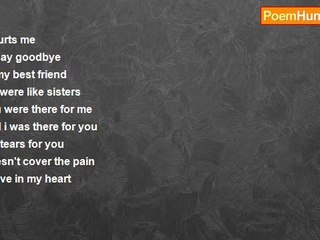 danielle boyer - Saying Goodbye to A Friend