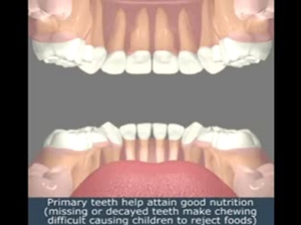 Odontologie pédiatrique : éruption des dents