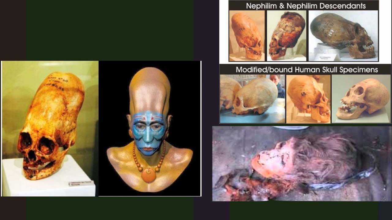Giants after the flood are from Ham, Canaanite Nazi supermen