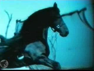Jewel - Foolish Games