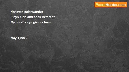 Dorothy (Alves) Holmes - #291 Haiku  Inspirational Puzzle