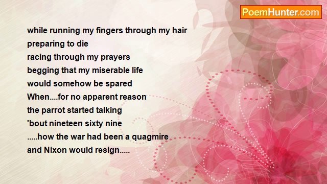 Ted Sheridan - The Post Mortem Blues Of A Vietnam Vet