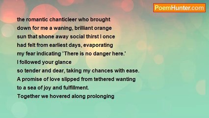 the black cloaked poet - Quick Death Take Me!