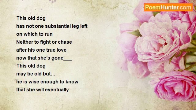 Ted Sheridan - Stays and Runaways