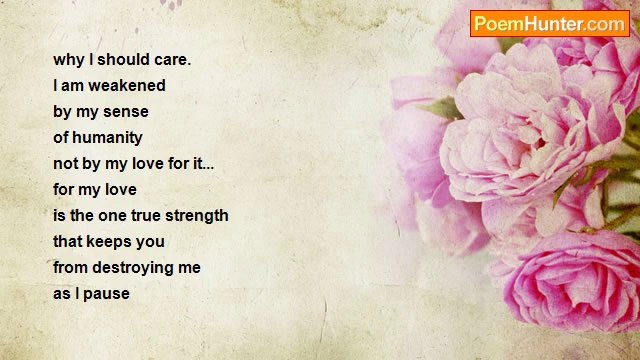 Ted Sheridan - The Musings Of A Future Dead Poet