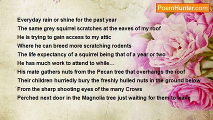 Ted Sheridan - The Sound of Nuts Cracking