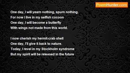 Phan Thanh gian - Follow the Butterfly