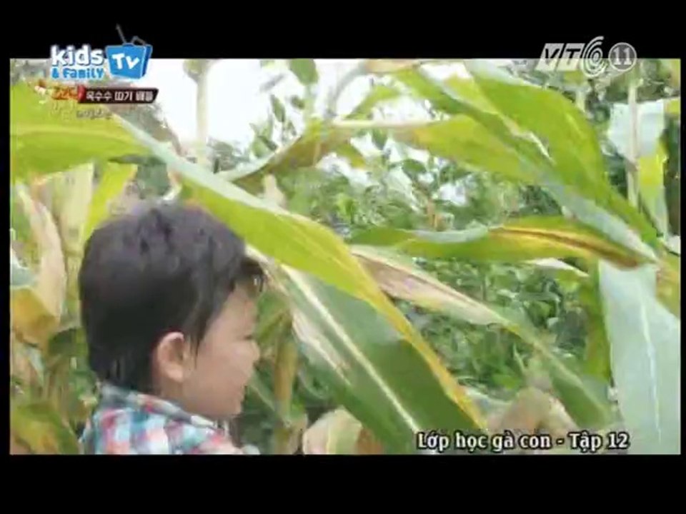 [TM] Lớp học Gà Con (Coo Coo Class) - Tập 12