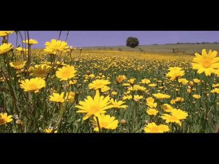 La vita è adesso ~ Renato Russo