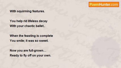 Theresa Ann Moore - Maggot