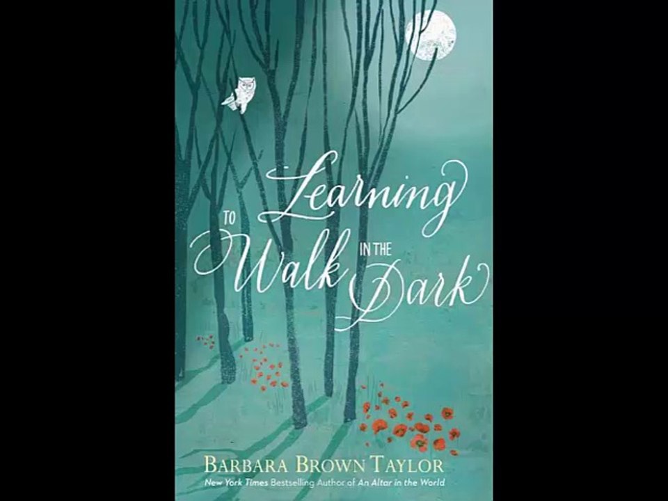 [FREE eBook] Learning to Walk in the Dark by Taylor