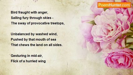 Stug Jordan - Bird Fraught