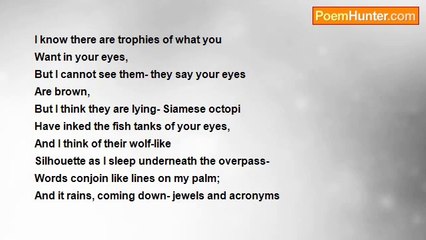 Robert Rorabeck - Into The Canal