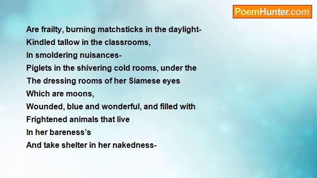 Robert Rorabeck - Resting With The Butterflies