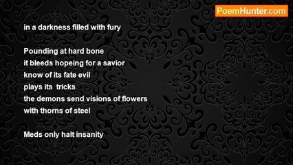 vincent armone - Trapped