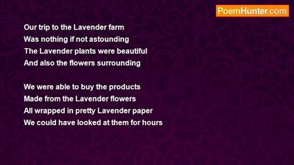 Marilyn Lott - Lavender Farm Trip