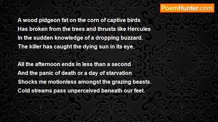 Christopher Woodall - Snap-shot