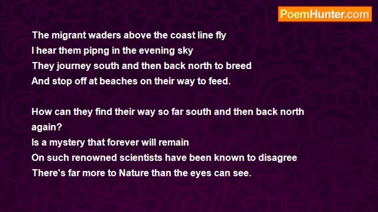 Francis Duggan - There's Far More To Nature