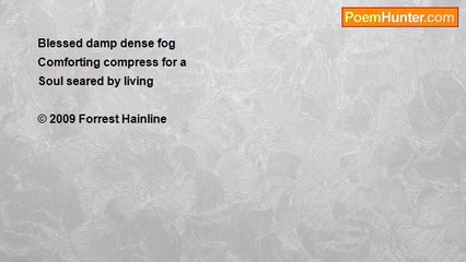 Forrest Hainline - Fog