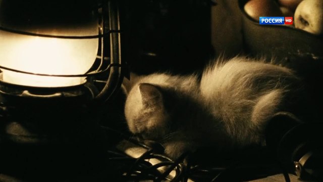 4 cерия Жизнь и судьба