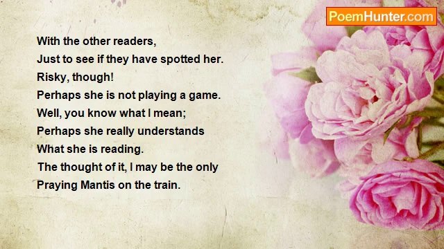 Robert Wylie - Praying Mantis