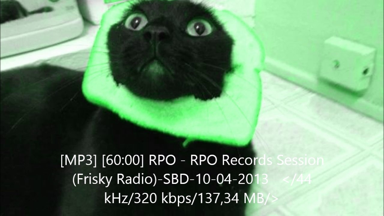 RPO - RPO Records Session (Frisky Radio)-SBD-10-04-2013
