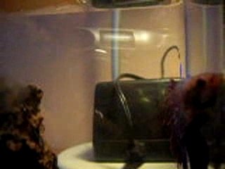 mon nouveau male combattant