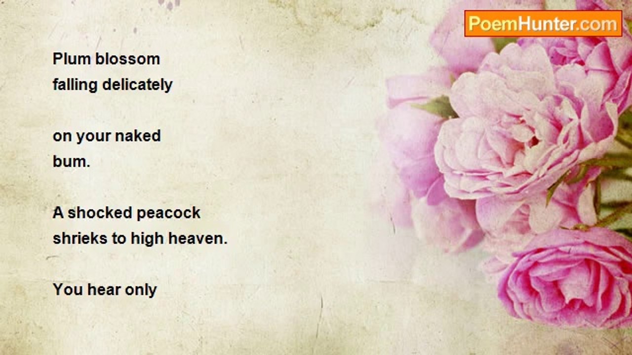 Dónall Dempsey - THE BEAUTY OF PLUM BLOSSOM