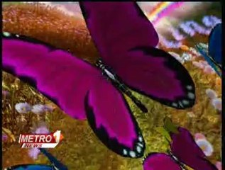 Metro1 mor 26-5-2014 ladies Milad 01