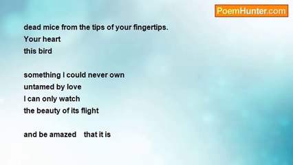 Dónall Dempsey - Billion Times Told Lovlier