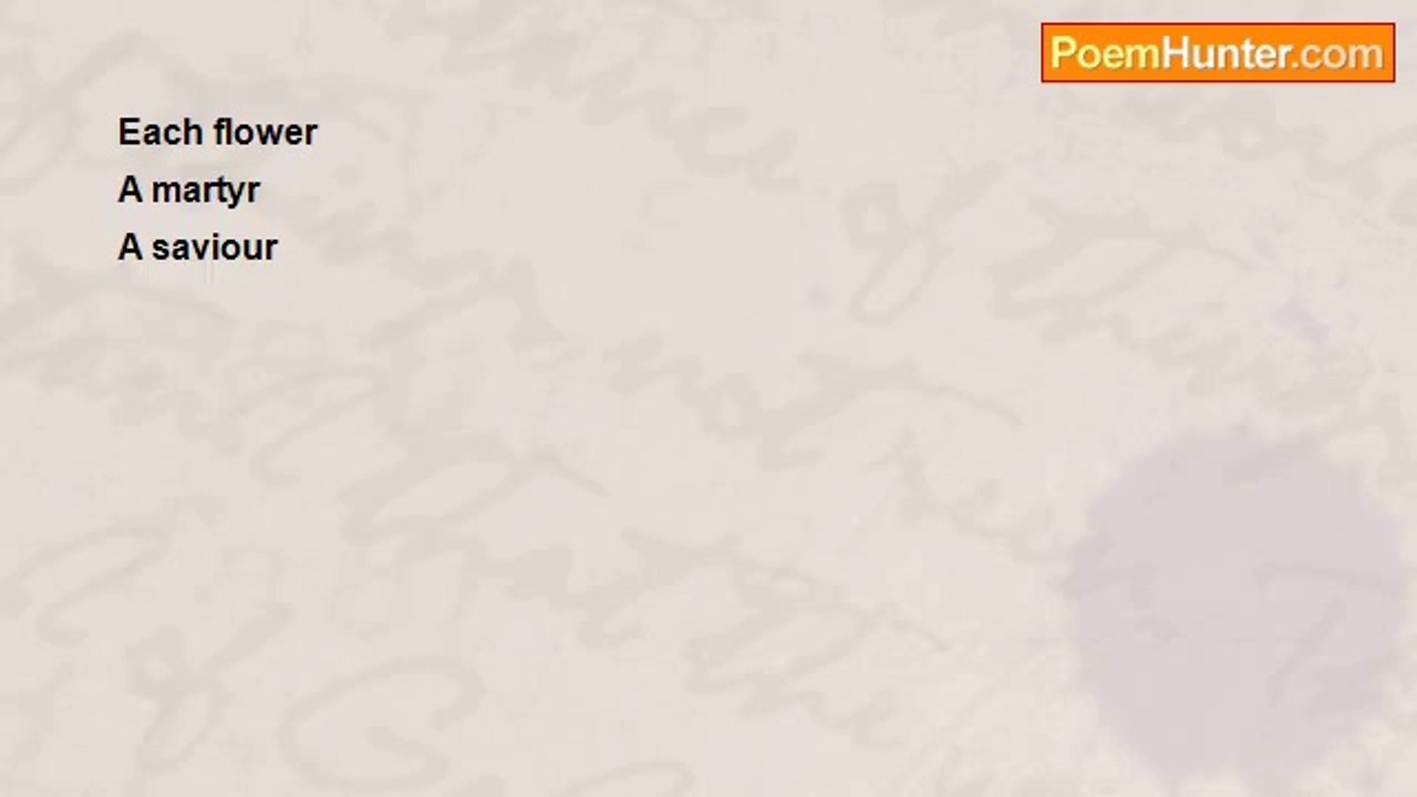 Raveendran N.V. - Zen Poem -3