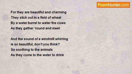 Marilyn Lott - Windmill Wonders