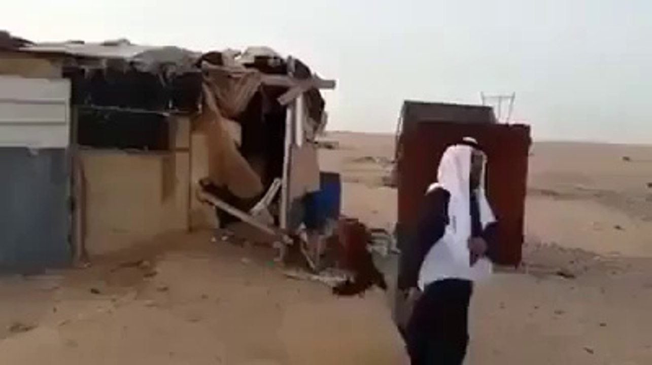 An Arab Firght With Chicken